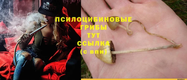ECSTASY Лиски