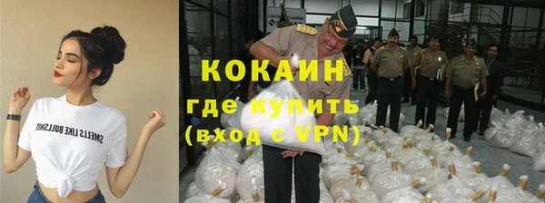 шишки Всеволожск