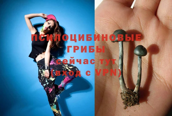2c-b Ладушкин