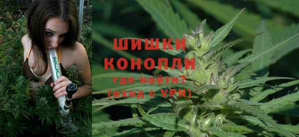 ECSTASY Лиски