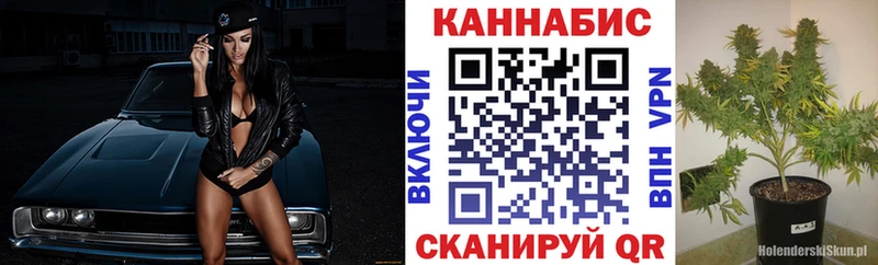 Канабис сатива Мосальск
