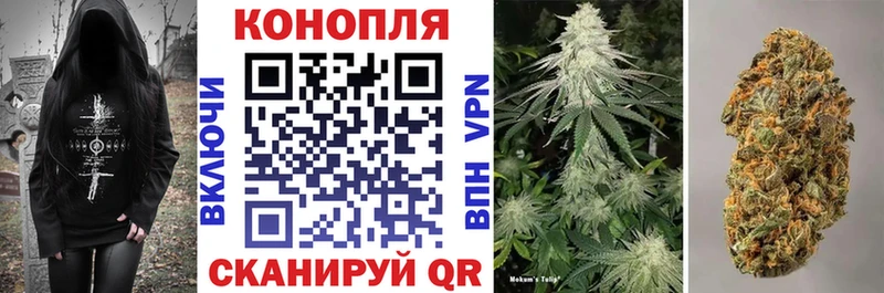 где продают   Мосальск  Шишки марихуана конопля 
